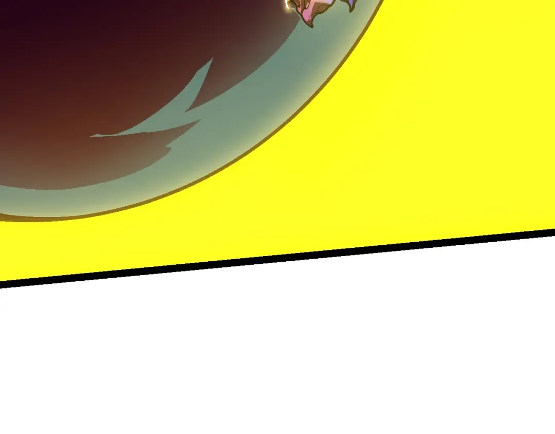 第255页