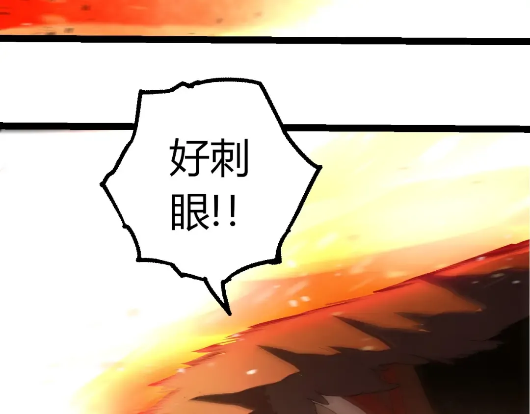 第231页