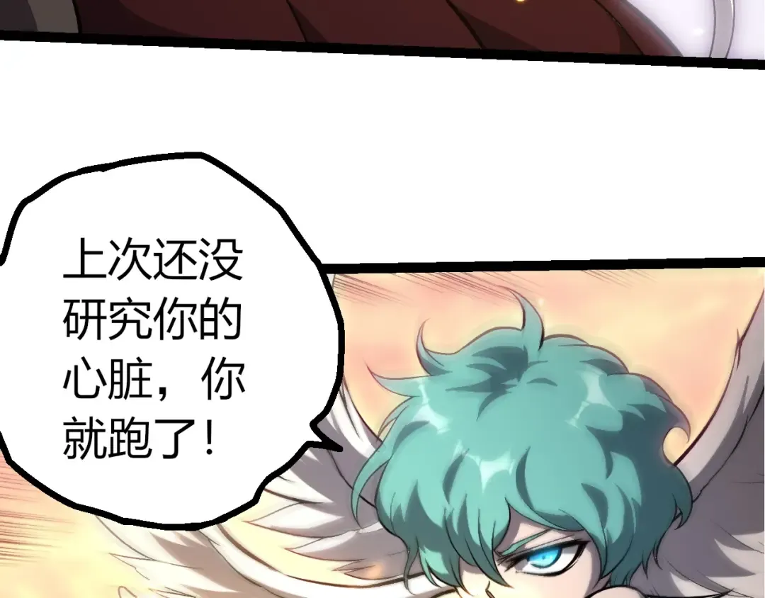 第231页