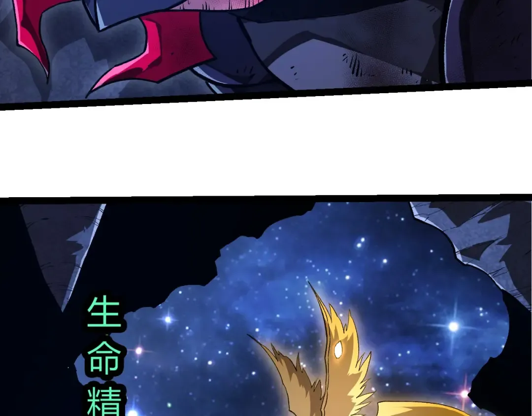 第204页
