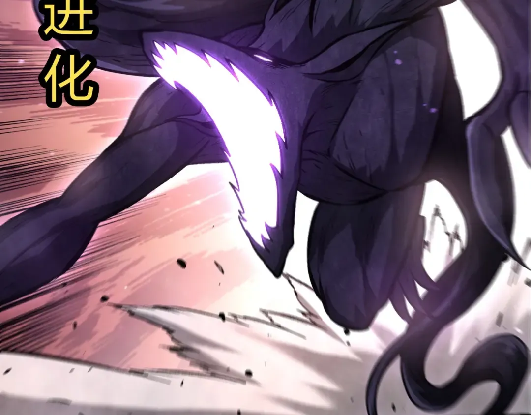 第264页