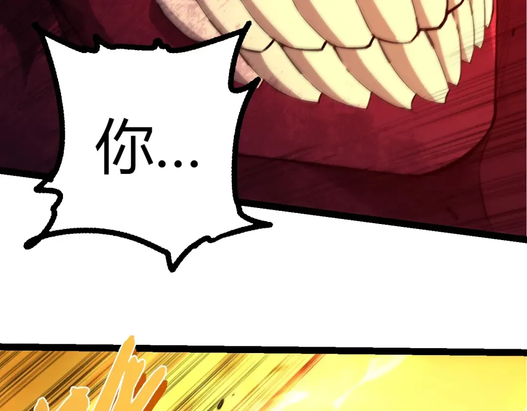 第255页