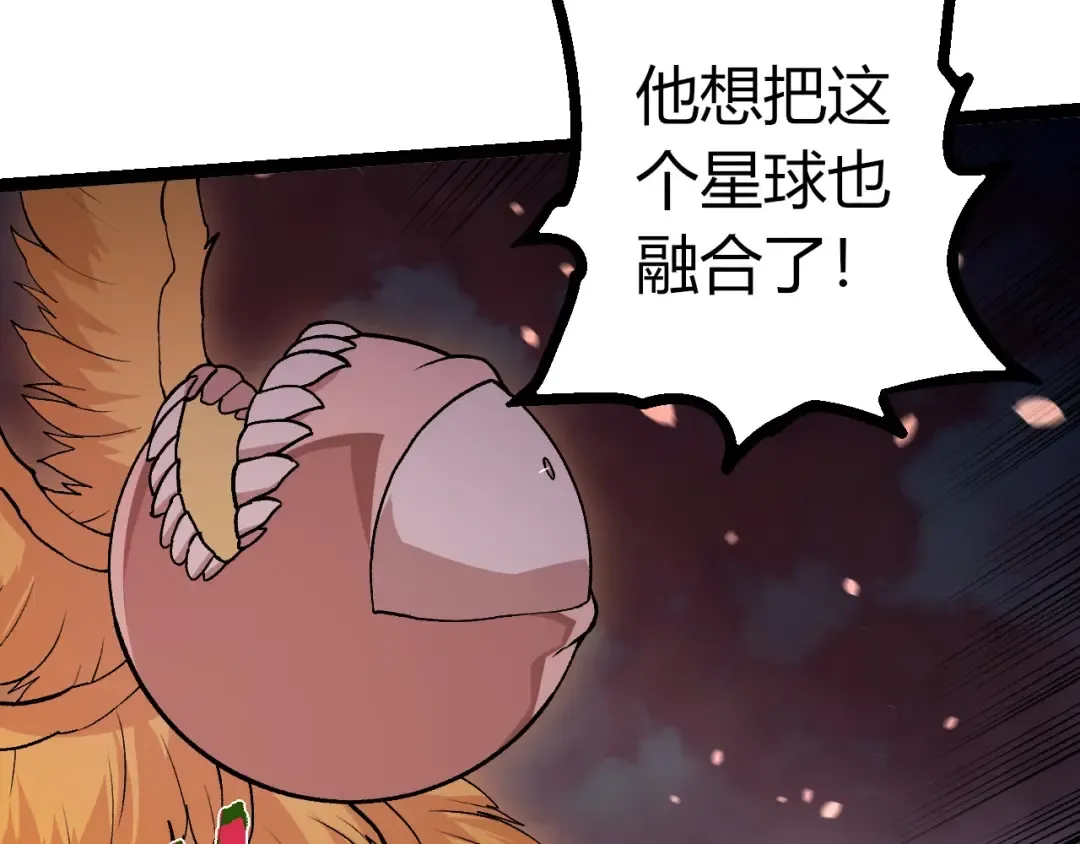 第243页