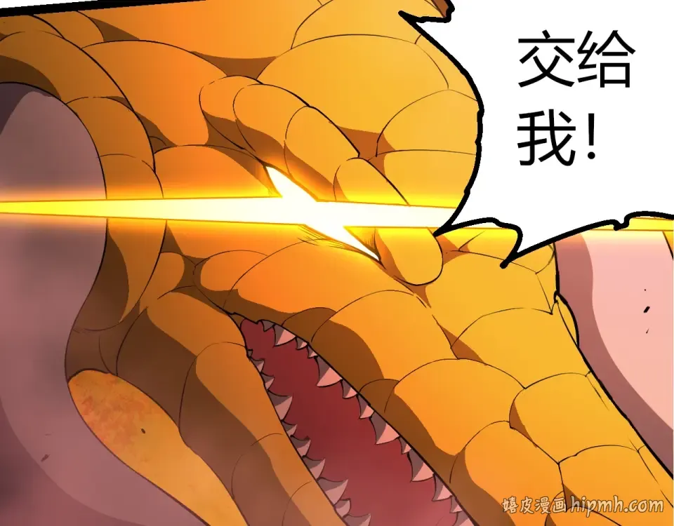 第213页