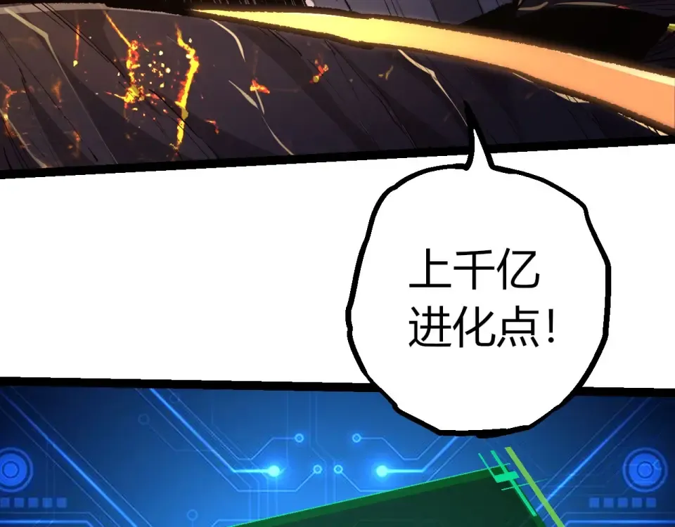 第255页