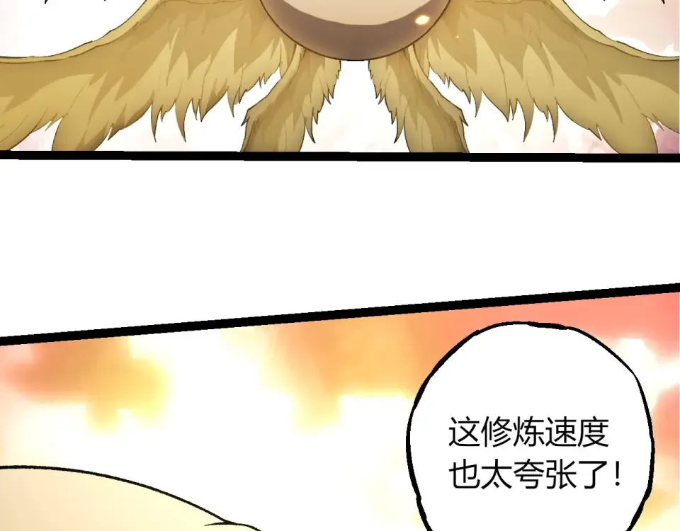 第255页