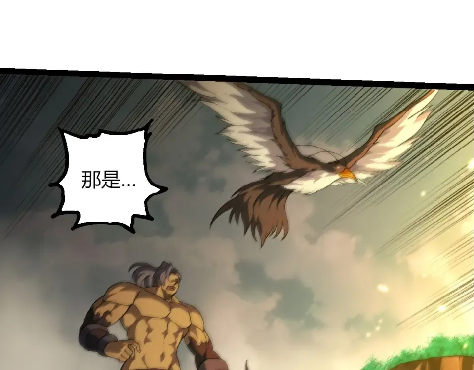 第216页