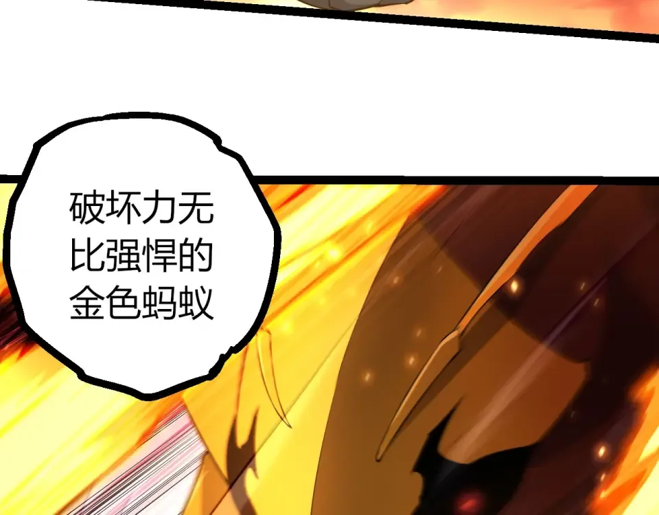 第240页