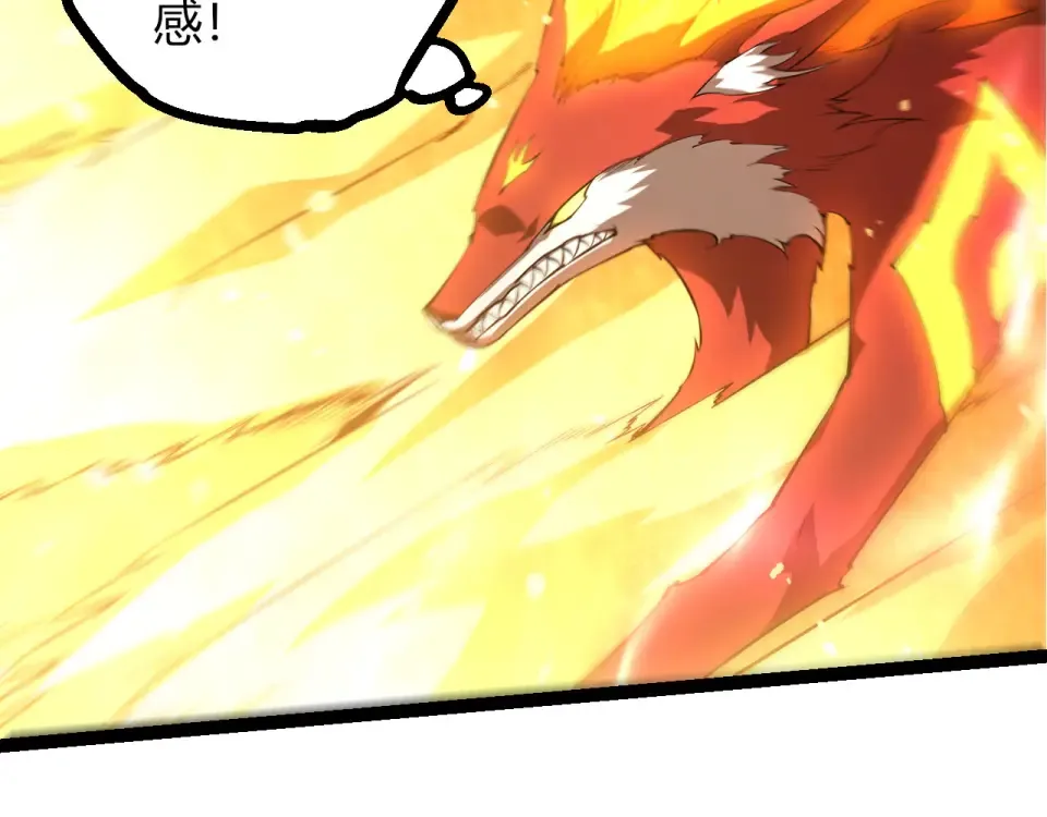 第264页