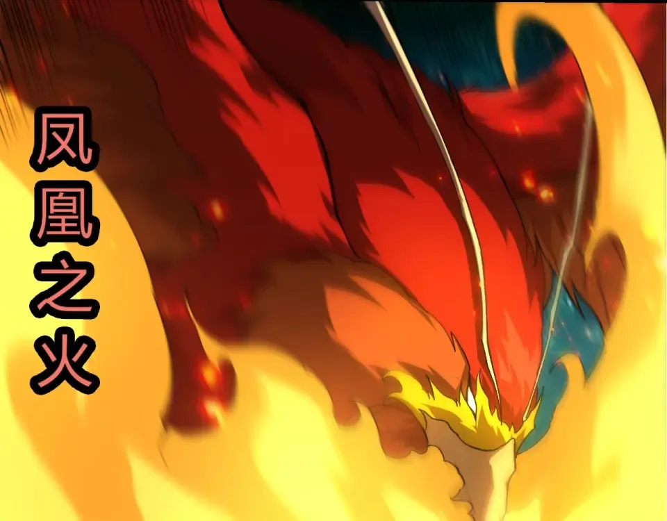第243页