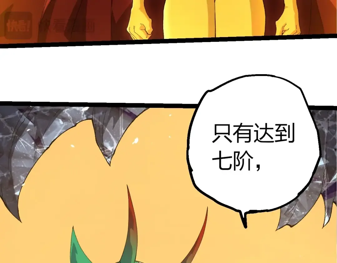 第231页