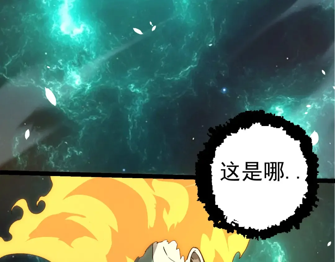 第276页