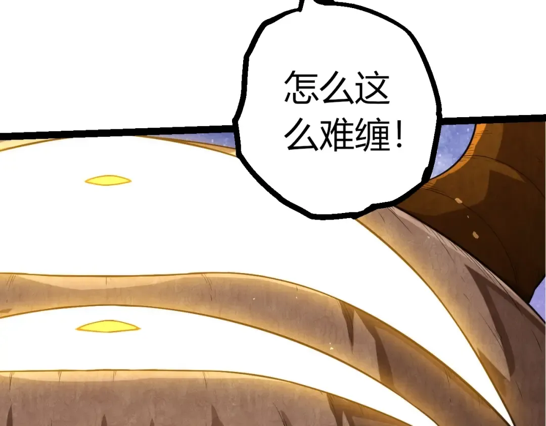 第216页