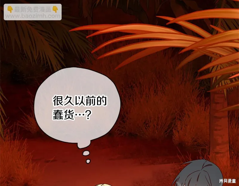 第411页