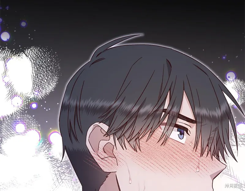 第411页