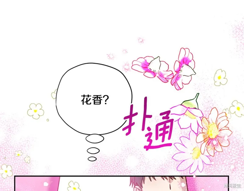 第510页