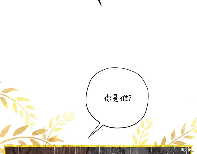 第312页