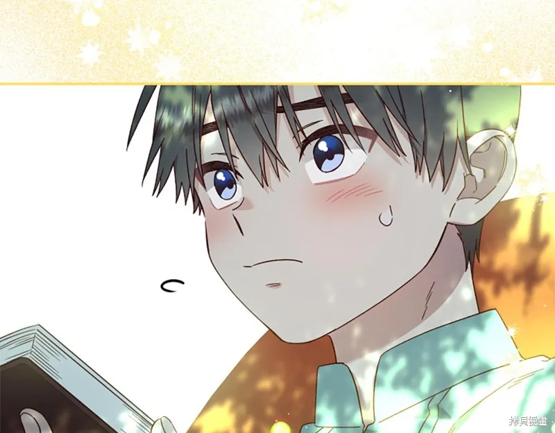 第519页
