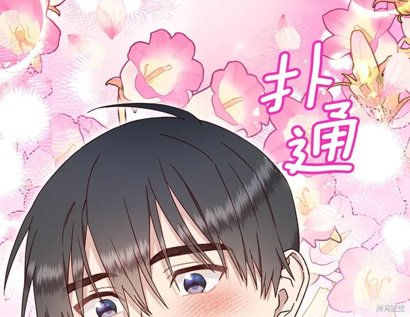 第291页