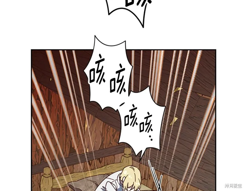 第207页