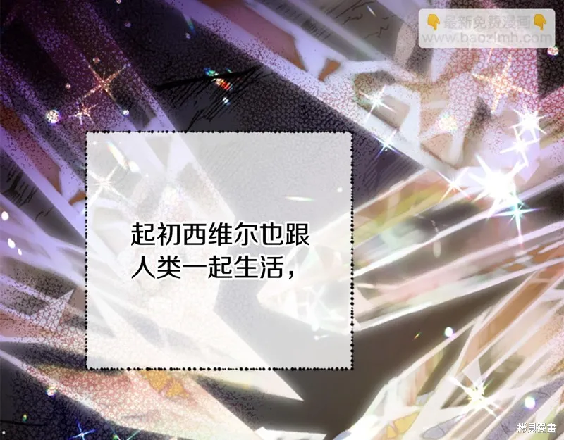 第255页