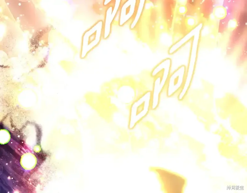 第333页