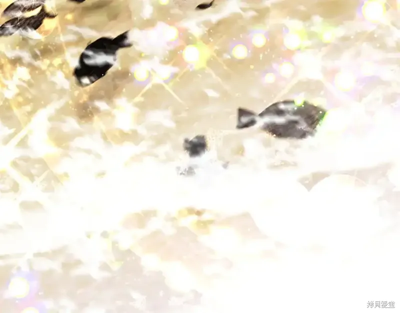 第345页