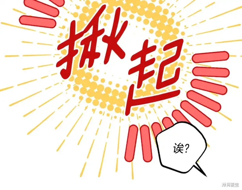 第255页