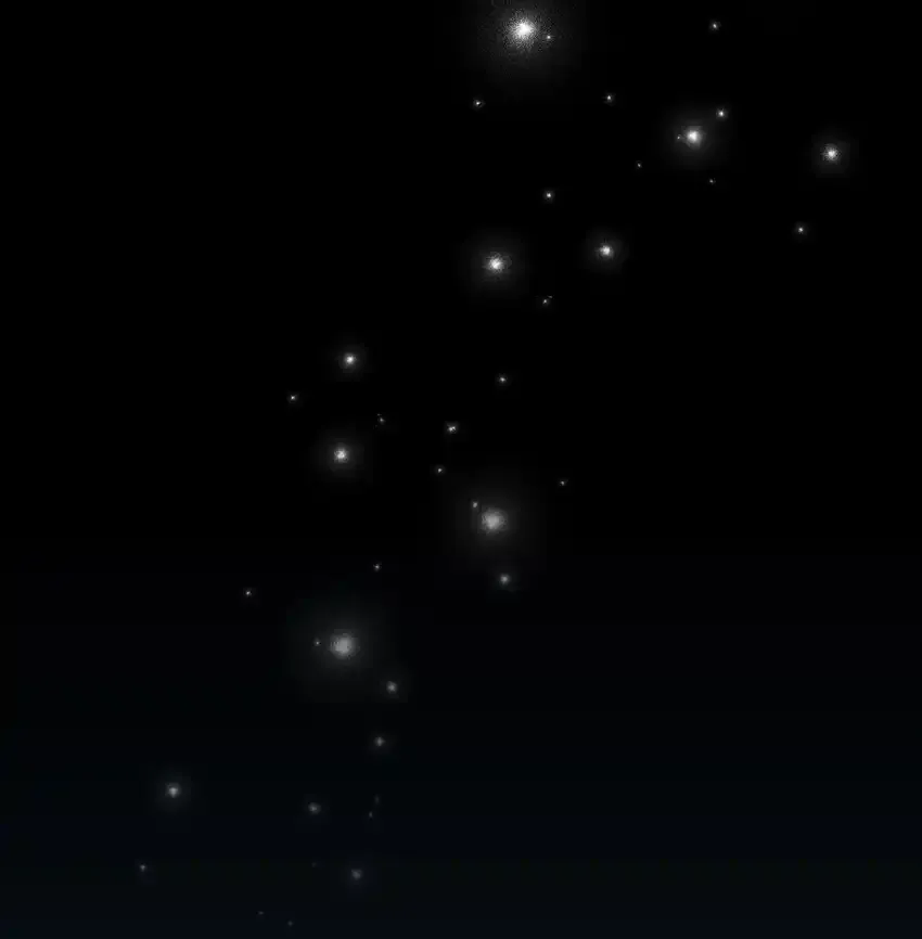 第219页