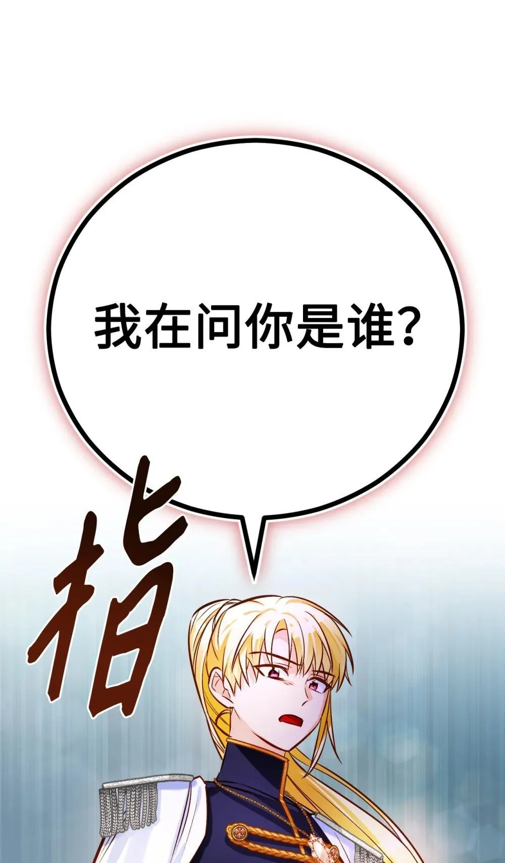 第231页
