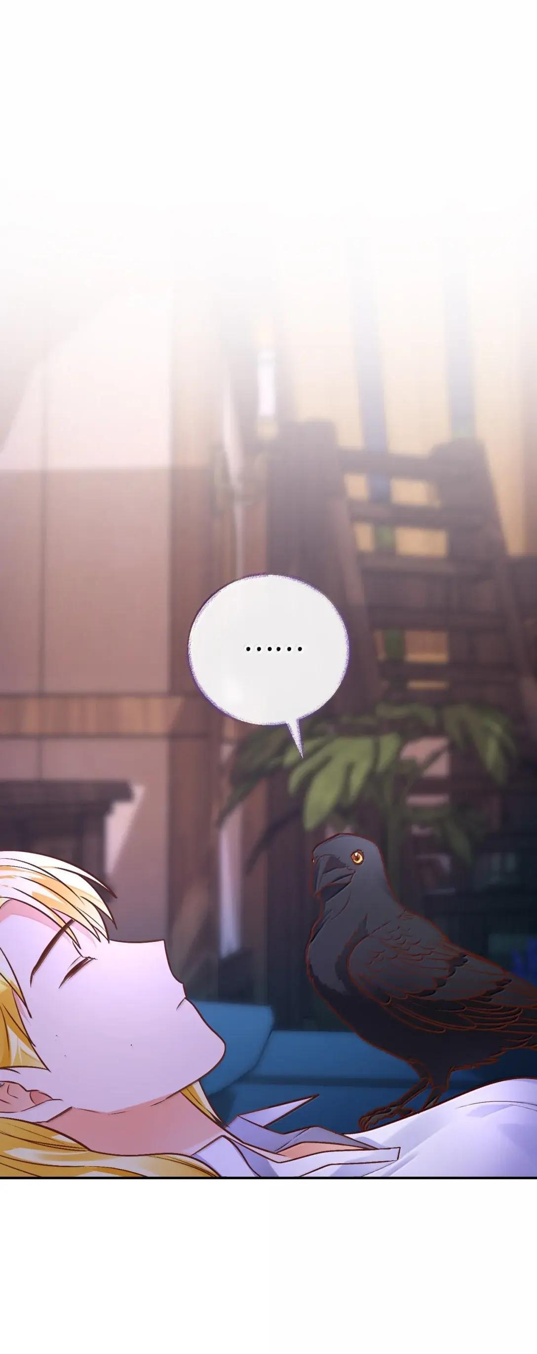 第333页