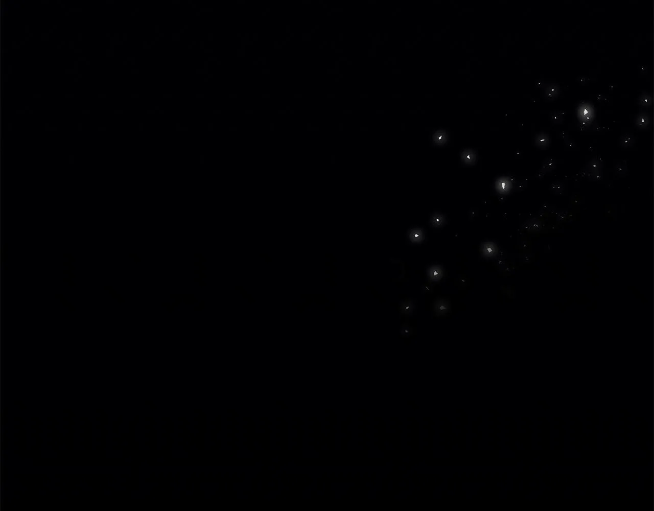 第594页