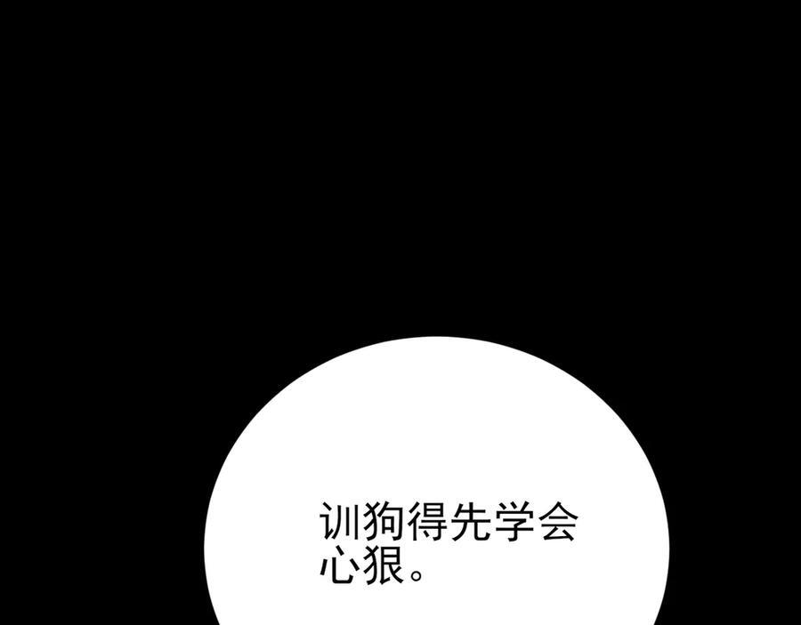 第234页