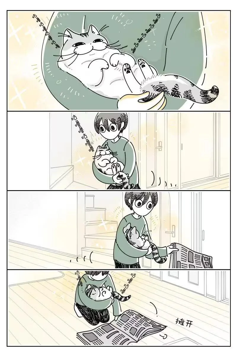 第0页