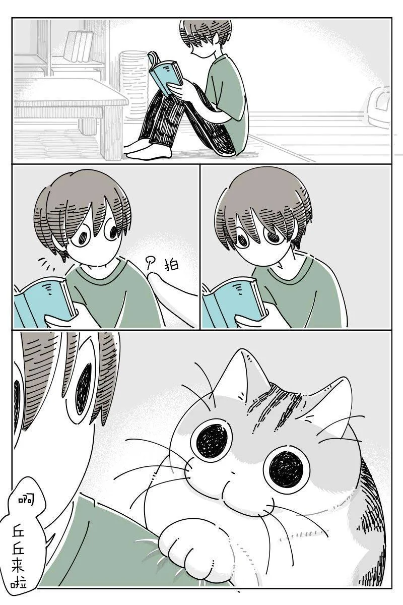 第0页