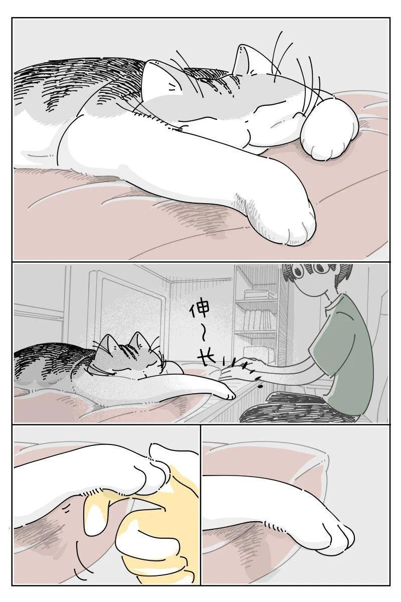 第0页
