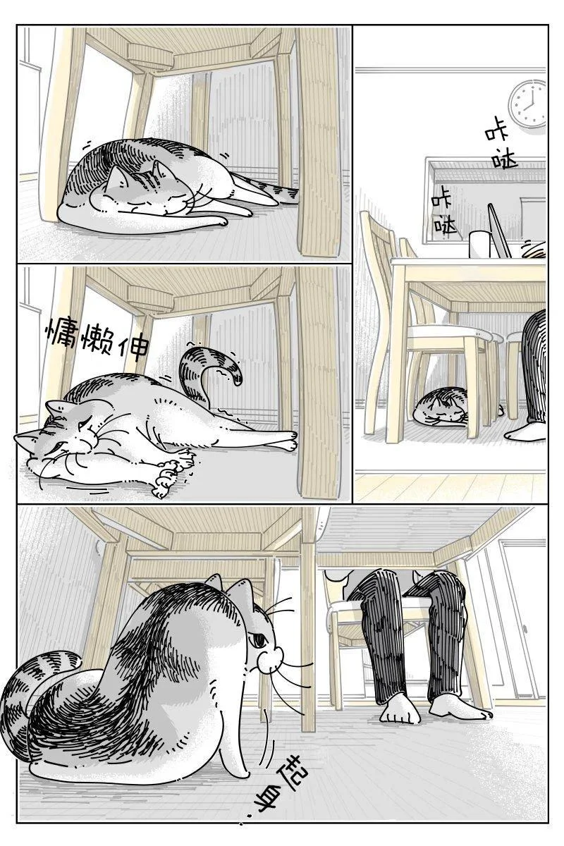 第0页