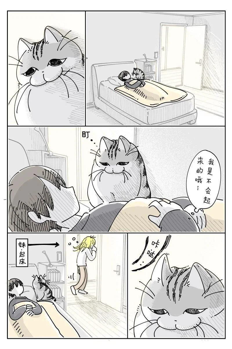 第0页