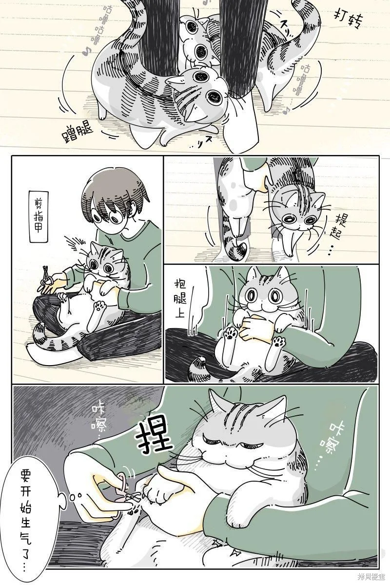 第0页