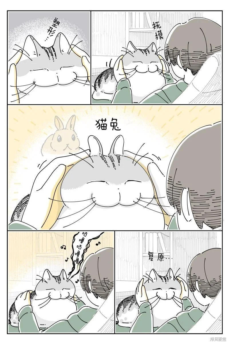 第0页