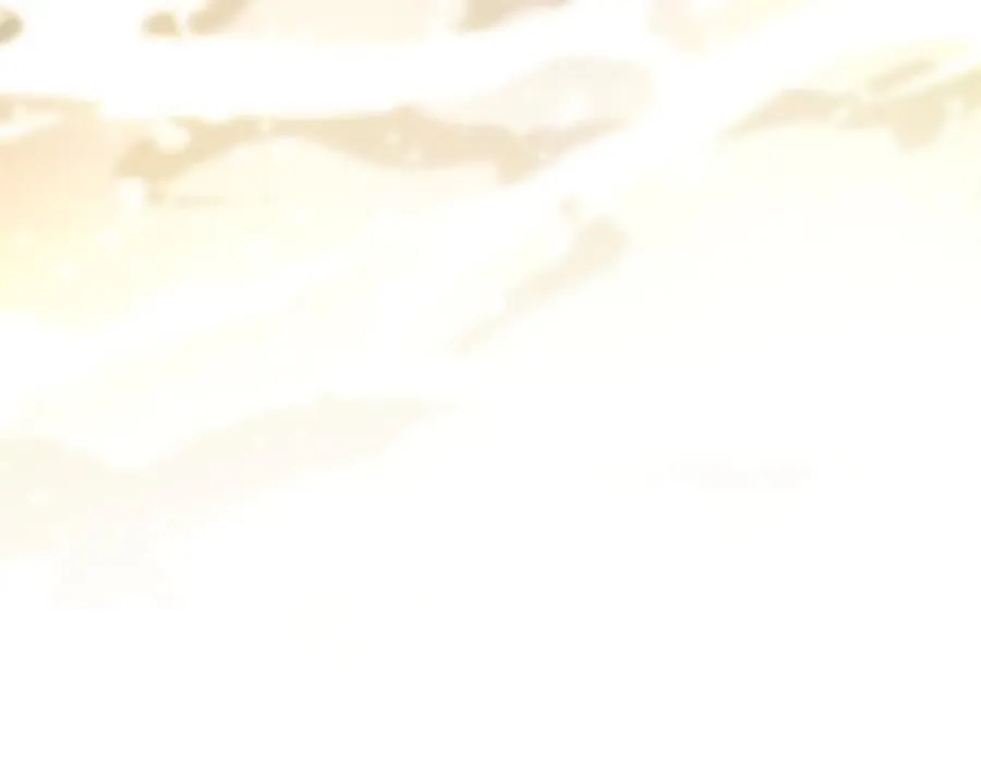 第633页