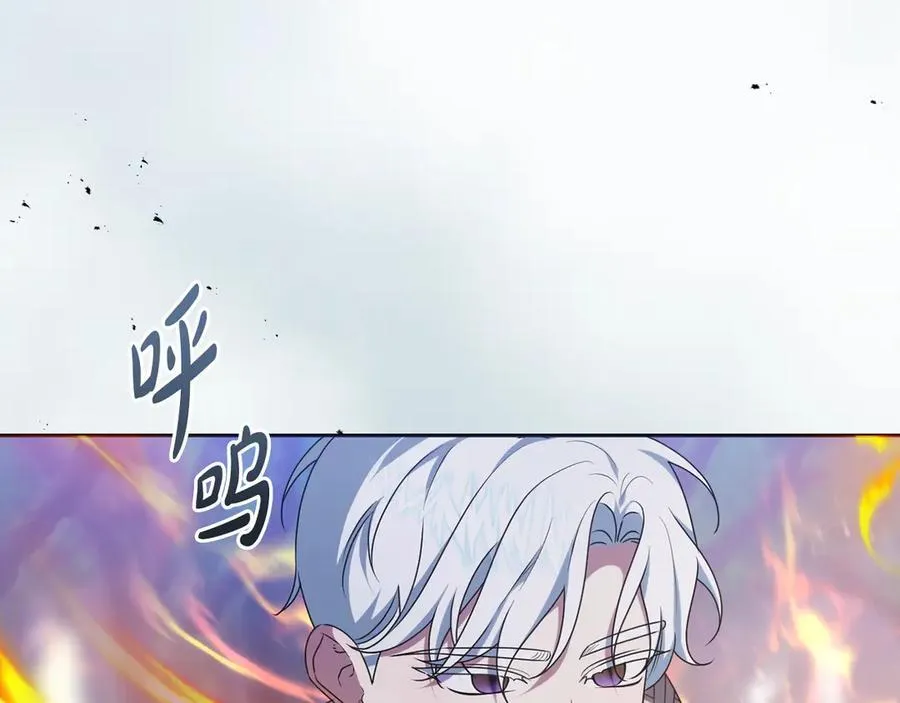 第231页