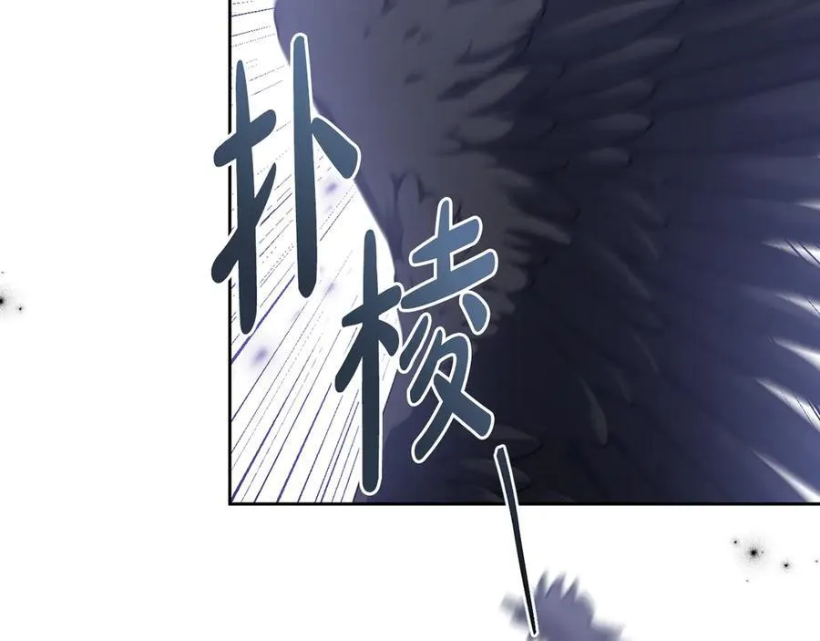 第429页