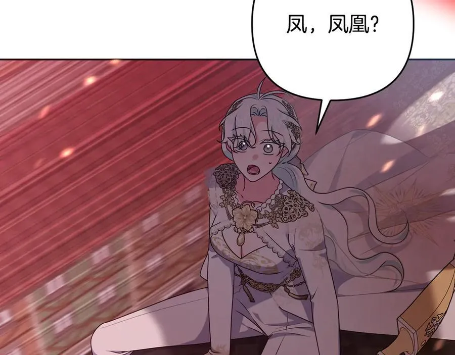 第498页