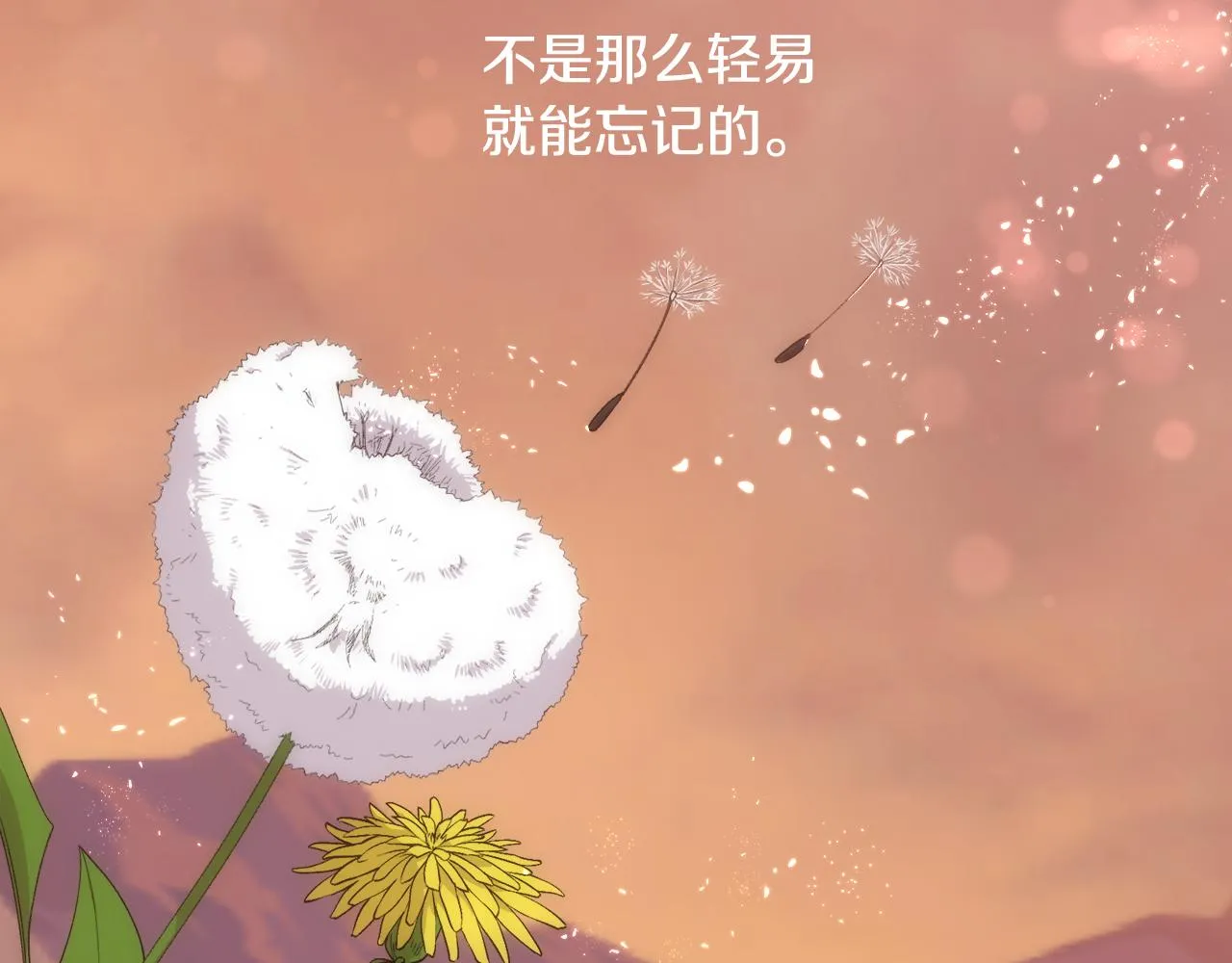 第207页