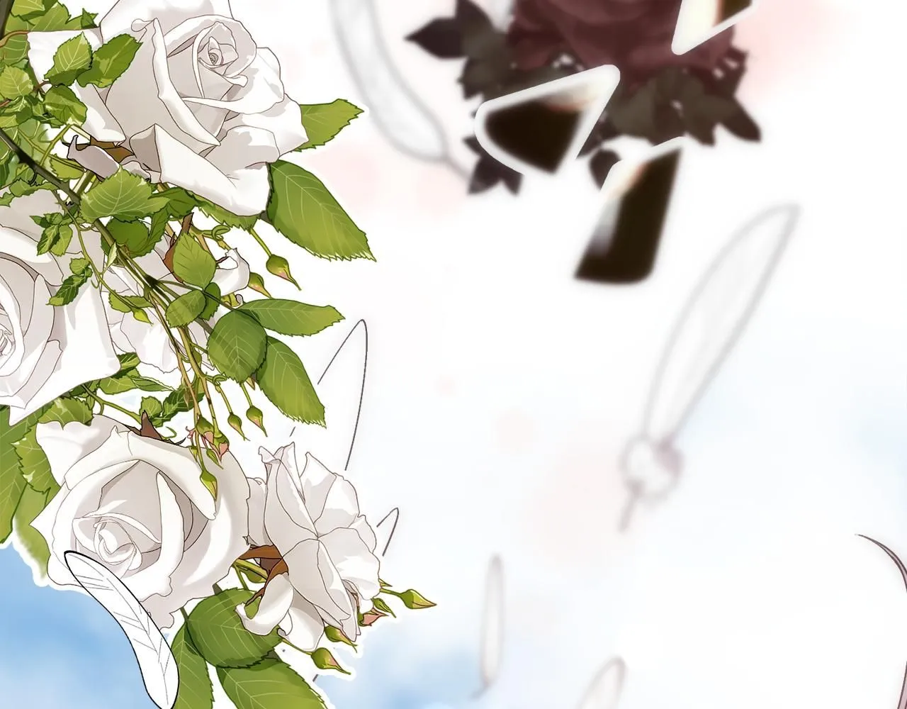 第261页
