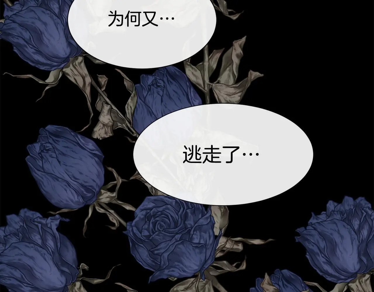 第216页