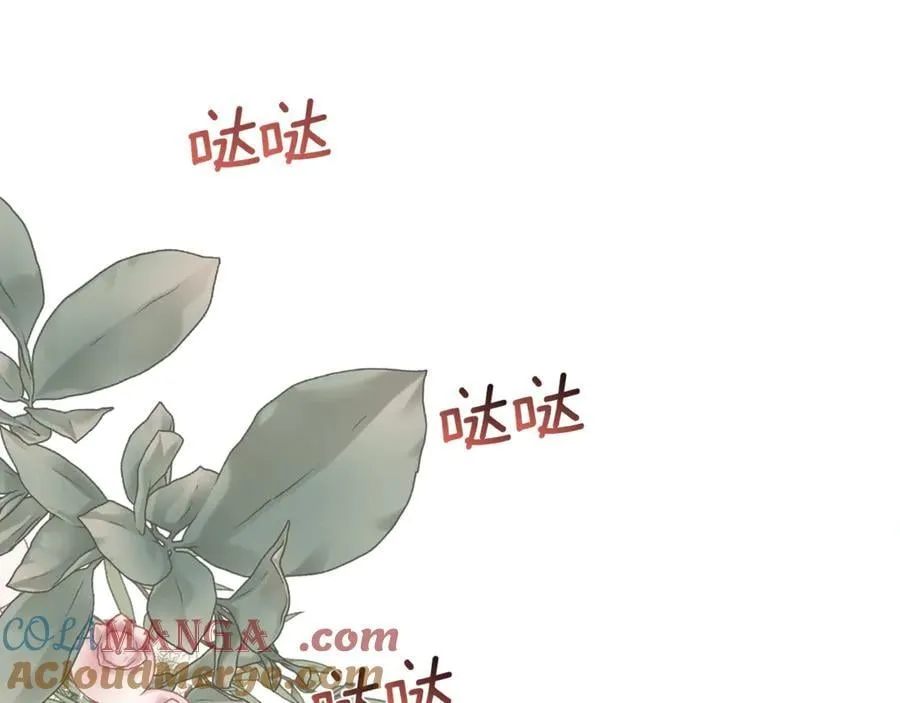 第240页