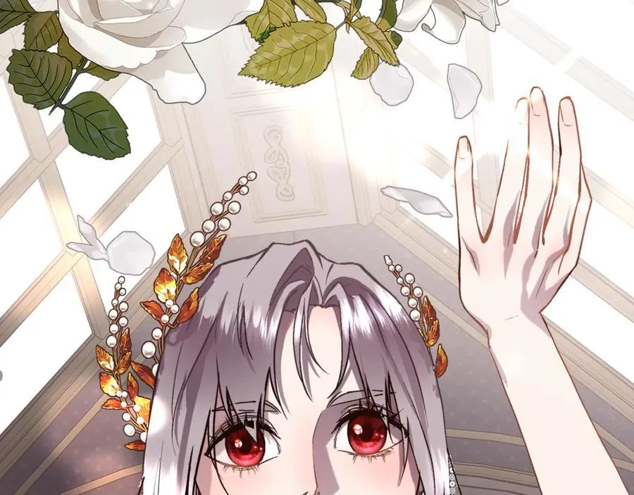 第423页