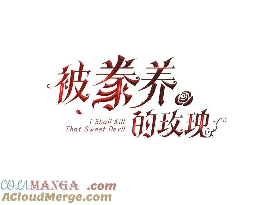 第216页